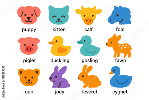 Cute cartoon baby animals with names: puppy, kitten, calf, and more