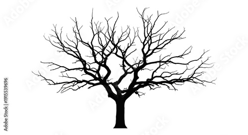 Silhouette of a bare tree with intricate branches against a white background.