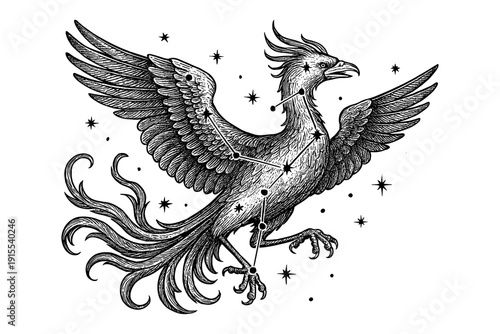 Intricate mythical phoenix with star constellation in vintage style
