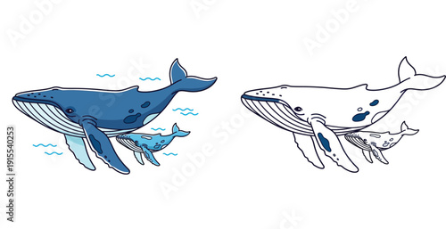 Humpback whale mother and baby calf swimming together vector illustration set containing colored blue cartoon version and black and white outline style suitable for coloring book page