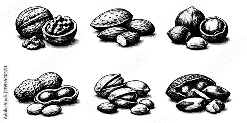 Different vintage nuts set Hand Drawn Engraving Style. Vector Illustration