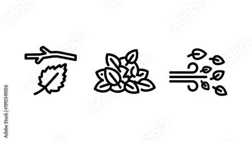 Autumn leaves, fallen branch, and wind blowing leaves icons signifying seasonal change and nature's transition.