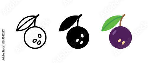 Set of three berry icons in outline, solid, and color styles