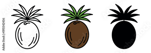 Creative coconut icon featuring palm leaves in line, color, and silhouette. Minimalist tropical symbol for vacation or food design.