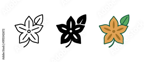 Minimalist floral icons: monochrome and color variations for design projects