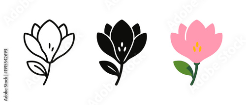 Minimalist floral art: outline, silhouette, and colorful flower designs