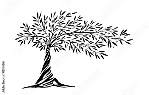 Hand draw abstract Olive tree. Organic nature symbol. Tree branch with leaves signs. Natural plant design elements emblems in vintage style. Vector illustration.