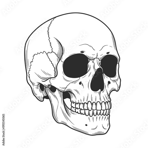 skull and crossbones