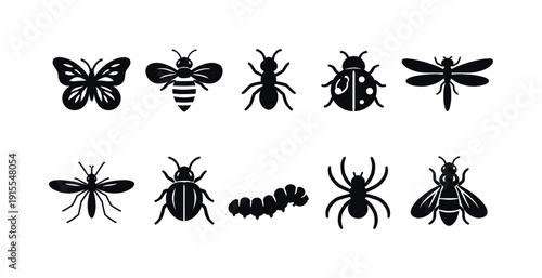 Insect silhouette icon set. Butterfly, bee, spider, ant, beetle silhouette collection