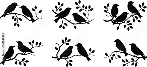 Six black silhouettes of bird pairs perched on leafy branches, showing varied interactions and postures, perfect for nature, wildlife, design, decoration, and educational concepts.