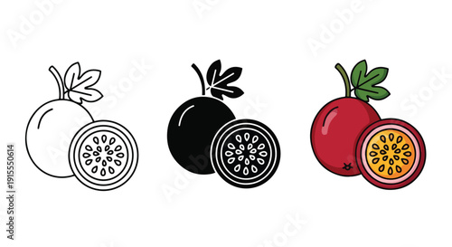 kiwi fruit cross section vector icon set flat design - Vector icon Set - Stickers and Clipart - PNG and SVG Icon collection - Lineal icons - logo template