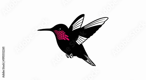Black hummingbird with vibrant pink gorget in mid-flight
