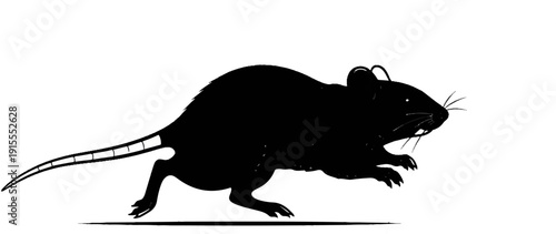 Black silhouette of a rat in profile, captured mid-stride on a white background
