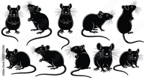 Mouse silhouette vector illustration, black animal icons, rodent artwork, wildlife design elements, sitting mouse, standing mouse, crouching mouse, profile view