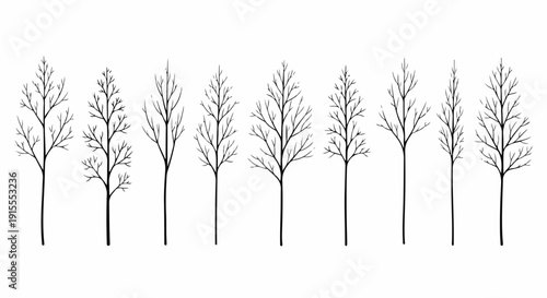 A serene collection of ten minimalist line drawings of trees Vector