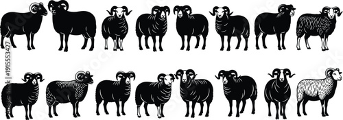 Ram silhouette vector illustration, sheep icons, black livestock artwork, horned animal design, farm animal graphic, wool pattern symbol, rural wildlife