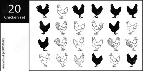 Chicken and Rooster Vector Set with Outline and Silhouette Farm Poultry Collection for Agriculture Design, Rural Branding, and Domestic Bird Illustration