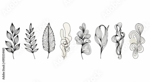A detailed illustration of various types of leaves showcasing their unique shapes and veins. Vector