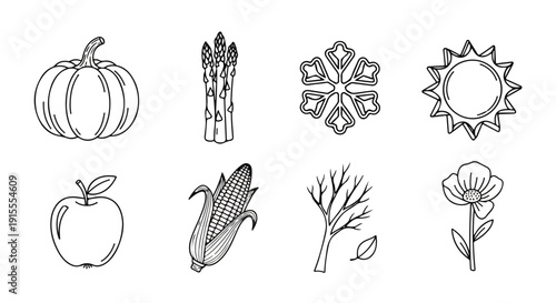A delightful array of autumn-themed illustrations featuring various plants and flowers Vector
