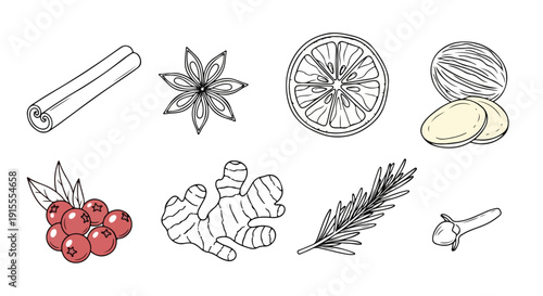An assortment of natural ingredients and spices for culinary use Vector