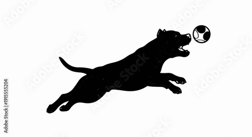 Black silhouette of a dog leaping to catch a soccer ball