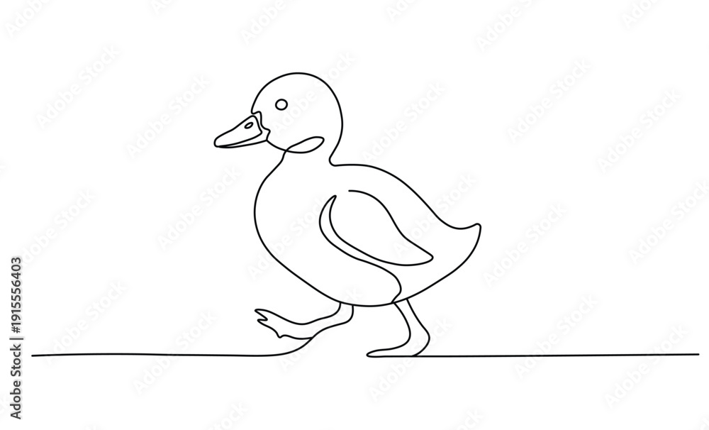 Fototapeta premium Young duckling walking forward along continuous stroke path using artistic line art design
