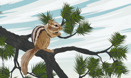 A chipmunk sits on a pine tree branch. Small forest animals in winter. Realistic vector landscape.