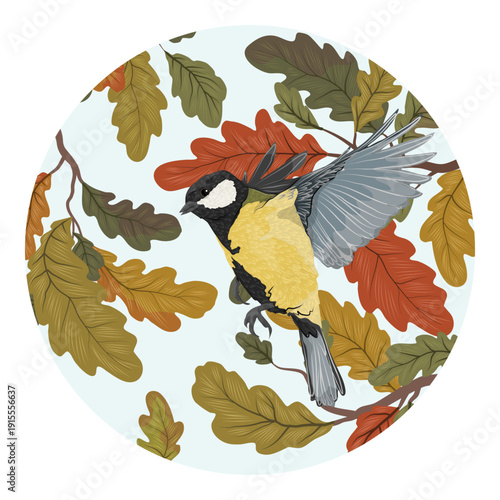 Flying great tit bird with autumn oak leaves vector. Isolated parus major in flight with fall foliage on light background, circle design.
