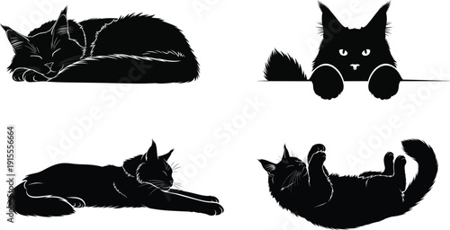 Four black cat silhouette poses on white background showcasing various feline positions and expressions in silhouette