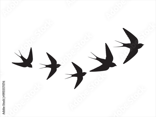 A flock of flying birds vector, Pigeons Flying Silhouettes, swallow Flying Silhouettes vector Illustration