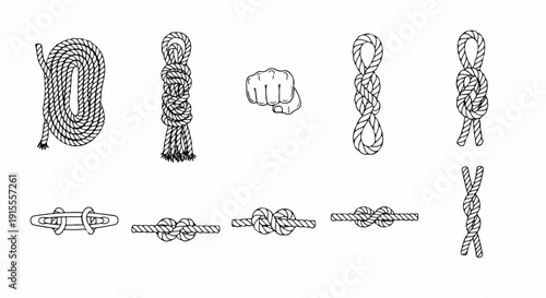 A detailed illustration showcasing various types of knots and their intricate designs. Vector