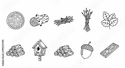 A variety of nature-inspired illustrations including trees, leaves, and forest items Vector