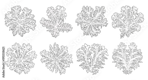 Intricate and symmetrical floral patterns showcasing various designs and styles Vector