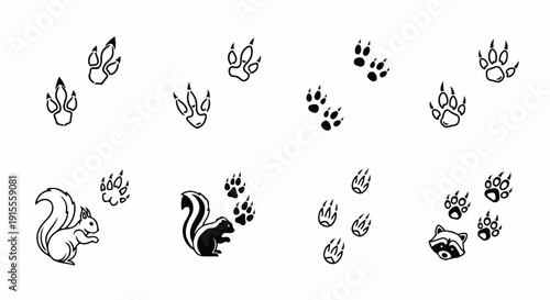 A collection of various animal paw prints and tracks in black and white. Vector