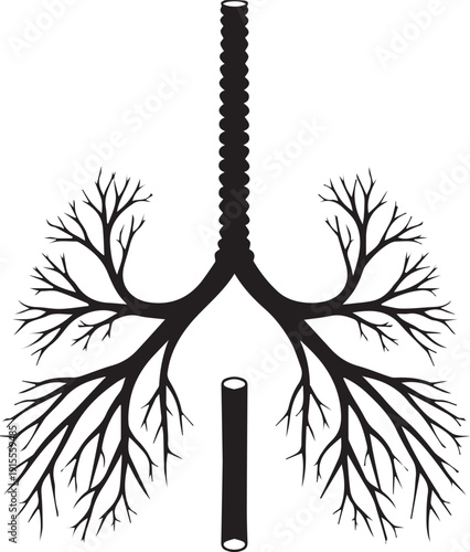Silhouette of human lungs and trachea anatomy
