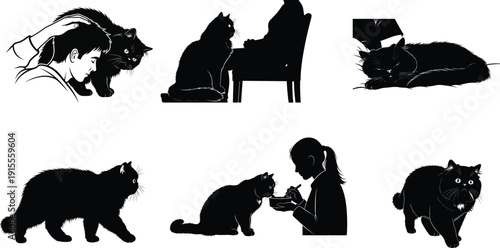 Silhouette of cats in various poses and activities showcasing their behavior and playfulness in silhouette form