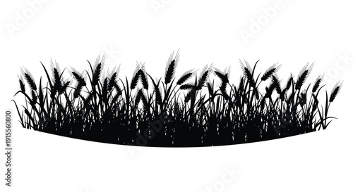 A silhouette of wheat stalks and grasses against a white background