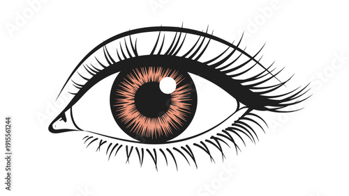 Detailed close-up illustration of a beautiful human eye with a brown iris, long thick eyelashes, and a bright reflection.