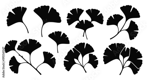 A collection of black silhouettes depicting ginkgo biloba leaves and stems