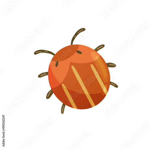 Colorado potato beetle pest vector illustration isolated