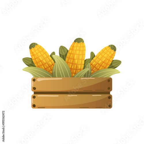 Detailed vector illustration of yellow corn cobs with husks neatly arranged in a wooden garden box. Represents summer harvest and agricultural abundance