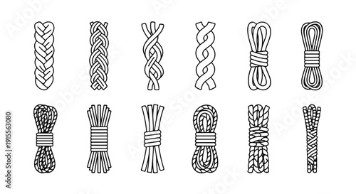 A collection of intricate and varied rope knot designs and patterns Vector