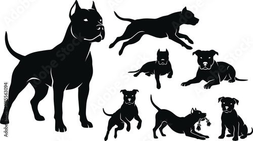 American Pit Bull Terrier Silhouette Vector Set Featuring Dogs Running Jumping Playing Sitting and Lying Down in Various Dynamic Poses