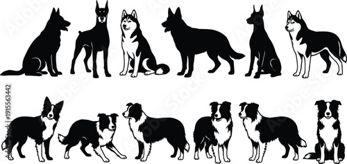 Black and white vector dog silhouettes collection featuring German Shepherd Doberman Siberian Husky and Border Collie breeds in various sitting standing poses