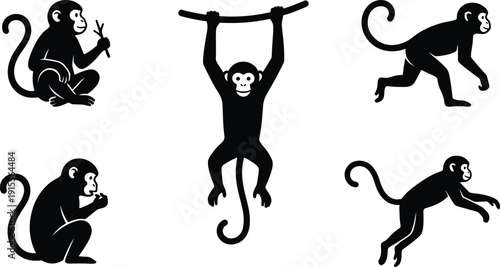 Black monkey silhouettes set featuring primates sitting hanging jumping and walking icons isolated on white background for wildlife graphic design