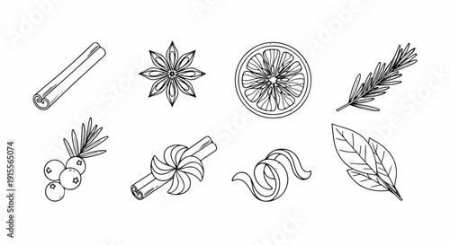 A collection of various herbs and spices illustrated in a vintage style Vector