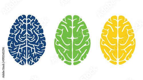 Three colorful brains symbolizing different ideas and perspectives in science or medicine