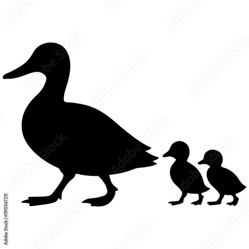 Mother Duck and Ducklings Silhouette Walking Together, Family Concept