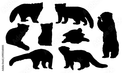 Red panda silhouette set. Lesser panda. Realistic vector animal