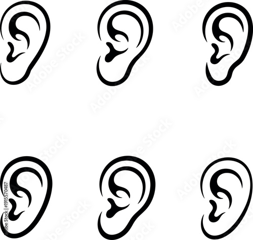 Human ear anatomy understanding ear structure and function effectively